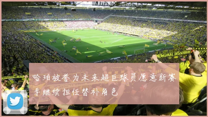 哈珀被誉为未来超巨球员愿意新赛季继续担任替补角色