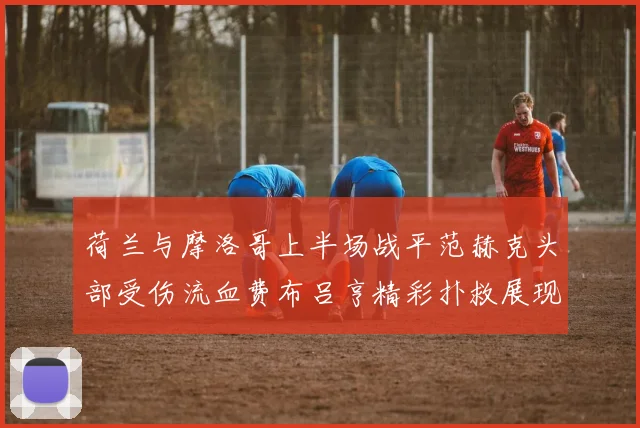 荷兰与摩洛哥上半场战平范赫克头部受伤流血费布吕亨精彩扑救展现实力